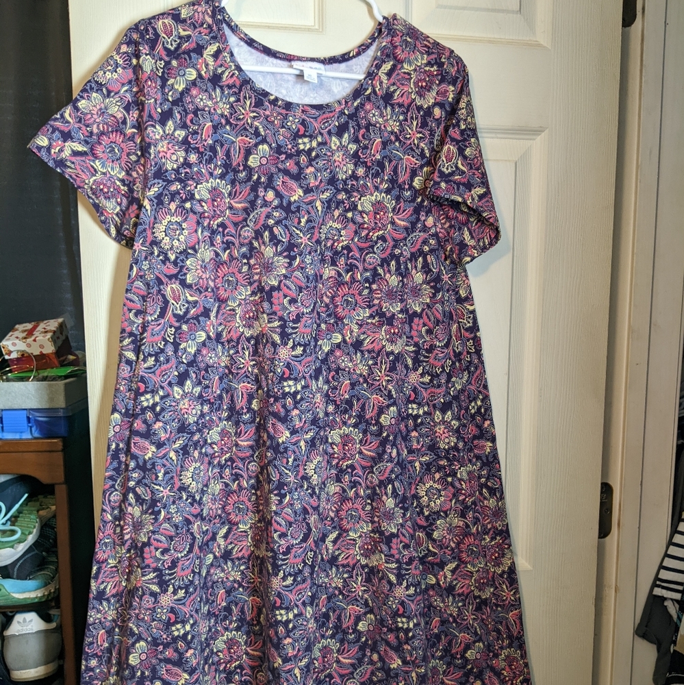 Multi color lularoe dress size xl
